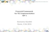 Financial Framework for TCS implementation WP 5 Domenico Giardini Rome, 5 Oct 2015.