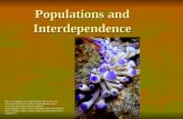 Populations and Interdependence http://www.google.com/imgres?imgurl=http://www.coral- reefs.org/assets/images/symbiosi2.jpg&imgrefurl=http://www.c oral-reefs.org/coral-reef-symbiosis-