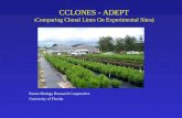 CCLONES - ADEPT ( Comparing Clonal Lines On Experimental Sites) Forest Biology Research Cooperative University of Florida.