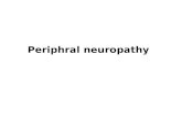 Periphral neuropathy. Peripheral Neuropathy Peripheral nerves are composed of sensory, motor, and autonomic elements. Diseases can affect the cell body.