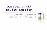 Quarter 3 HSA Review Session Genetics, Punnett Squares and Pedigrees.
