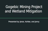 Gogebic Mining Project and Wetland Mitigation Presented by: Jesse, Ashlee, and Jonny.