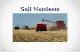 Soil Nutrients. Soil Quality Important factor in farm crop production Soils determine which plant species yields the most, the time of harvest, investments.