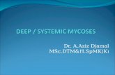 Dr. A.Aziz Djamal MSc.DTM&H.SpMK(K ). 1. Cosmopolitant : Aspergillus, Candida and Cryptococcosis. 2. Exotic type : In a specific area Penicillium marneffei.