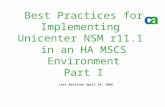 Best Practices for Implementing Unicenter NSM r11.1 in an HA MSCS Environment Part I -Last Revision April 24, 2006.