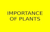 IMPORTANCE OF PLANTS. Importance of Plants Oxygen Food/feed Medicine –  .