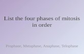 List the four phases of mitosis in order Prophase, Metaphase, Anaphase, Telophase.
