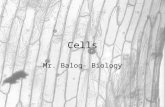 Cells Mr. Balog- Biology. Cell Theory All living things are composed of one or more cells Cells arise from pre- existing cells (cells contain the hereditary.