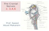 The Cranial Nerves 2, 3,4,6 Prof. Saeed Abuel Makarem.