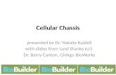 Cellular Chassis presented by Dr. Natalie Kuldell with slides from (and thanks to!) Dr. Barry Canton, Ginkgo BioWorks.