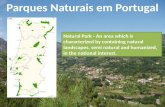 Natural Park - An area which is characterized by containing natural landscapes, semi natural and humanized, in the national interest.