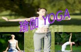 Yoga's origin Yoga in India had been circulating for thousands of years.Yoga's origin can be traced back to the earliest the Indus ( 印度 河 )civilization.