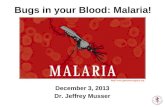 December 3, 2013 Dr. Jeffrey Musser  Bugs in your Blood: Malaria!