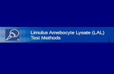 Limulus Amebocyte Lysate (LAL) Test Methods. LAL Test Methods The gel-clot method The kinetic turbidimetric method The chromogenic methods (kinetic and.