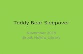 Teddy Bear Sleepover November 2015 Brook Hollow Library.