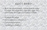 EOCT PREP 1) In an ecosystem, some plants may convert atmospheric nitrogen gas into ammonia through a process called __________ ____________. A)denitrification.
