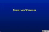 Menu 1 Energy and Enzymes. Menu 2 Menu – Energy and Enzymes  Instructions Instructions  Energy Energy  Chemical Bonds Chemical Bonds  ATP ATP  Catabolic.