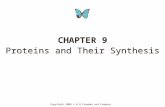 CHAPTER 9 Proteins and Their Synthesis CHAPTER 9 Proteins and Their Synthesis Copyright 2008 © W H Freeman and Company.