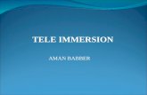 TELE IMMERSION AMAN BABBER. WHAT IS TELEIMMERSION Teleimmersion is a technology to be implemented with intenet2 that will enable user in different geographics.