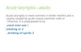 Acute laryngitis—adults Acute laryngitis is more common in winter months and is usually caused by acute coryza (common cold) or influenza. It is predisposed.