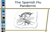 The Spanish Flu Pandemic. 1918 Spanish Flu n In the United States alone, 675,000 people died in the year 1918 alone from the so-called Spanish Flu. n.