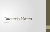 Bacteria Notes Page 266. Bacteria: Prokaryotes, so single- celled organisms without nucleus and other organelles like mitochondria.