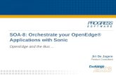 SOA-8: Orchestrate your OpenEdge® Applications with Sonic OpenEdge and the Bus... Jiri De Jagere Product Consultant.
