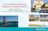 Intro to Blood Systems Research Institute (BSRI) Satish K. Pillai, Ph.D. Associate Investigator, BSRI Associate Professor of Laboratory Medicine, UCSF.