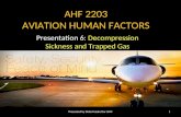 AHF 2203 AVIATION HUMAN FACTORS Presentation 6: Decompression Sickness and Trapped Gas 1Presented by Mohd Amirul for AMC.