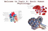 Welcome to Topic 6: Basic Human Physiology!. Plan for this week! Complete 6.1 – digestion – Monday – Thursday Wednesday – help lab on DCP and CE (on demand)