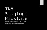 TNM Staging: Prostate TONYA BRANDENBURG, MHA, CTR KENTUCKY CANCER REGISTRY.