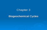 Chapter 3 Biogeochemical Cycles. Objectives:  Identify and describe the flow of nutrients in each biogeochemical cycle.  Explain the impact that humans.