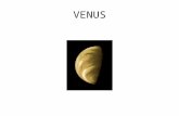 VENUS. “Twin” or “Sister” planet of the earth  similar size, mass, density; interior should also be similar with iron core, mantle, crust But totally.