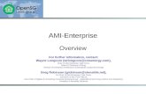 Overview AMI-Enterprise For further information, contact: Wayne Longcore (wrlongcore@cmsenergy.com), Chair of AMI-Enterprise Task Force, Board Of Directors.