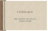 CYTOLOGY THE STUDY OF CELLS - STRUCTURE. GENERAL Cell = Smallest Living Unit Produced by Cell Division or Fertilization Surrounded by Interstitial / Extracellular.