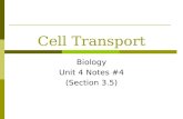 Cell Transport Biology Unit 4 Notes #4 (Section 3.5)