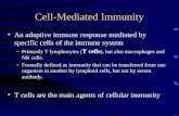 Cell-Mediated Immunity An adaptive immune response mediated by specific cells of the immune system –Primarily T lymphocytes ( T cells ), but also macrophages.