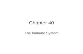 Chapter 40 The Immune System. *The ____________________ is the body’s main defense against _________________. - Pathogens = __________________________.