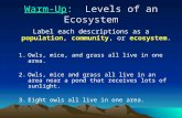 Warm-Up: Levels of an Ecosystem Label each descriptions as a population, community, or ecosystem. 1.Owls, mice, and grass all live in one area. 2.Owls,