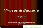 Viruses & Bacteria Chapter 19 Presentation put together by Mandie Lynn Walls Visit  For 100’s of free powerpoints.