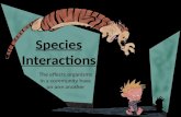 Species Interactions The effects organisms in a community have on one another.