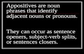 Appositives are noun phrases that identify adjacent nouns or pronouns. They can occur as sentence openers, subject-verb splits, or sentences closers.