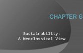 Sustainability: A Neoclassical View. Introduction  In the next two chapters, move beyond our efficiency versus safety debate over pollution control standards,