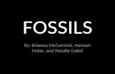 FOSSILS By: Brianna McCormick, Hannah Feder, and Natalie Gabel.