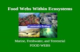 Food Webs Within Ecosystems Marine, Freshwater, and Terrestrial FOOD WEBS.