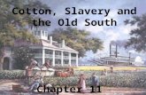 Cotton, Slavery and the Old South Chapter 11. Early South Upper South - tobacco *market unstable *uses up soil *some shift to Other crops.
