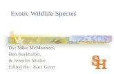 Exotic Wildlife Species By: Mike McManners, Ben Burkhalter, & Jennifer Muller Edited By: Kaci Greer.
