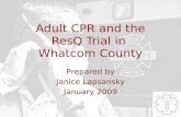 Adult CPR and the ResQ Trial in Whatcom County Prepared by Janice Lapsansky January 2009.