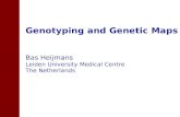 Genotyping and Genetic Maps Bas Heijmans Leiden University Medical Centre The Netherlands.