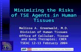 Minimizing the Risks of TSE Agents in Human Tissues Melissa A. Greenwald, M.D. Division of Human Tissues Office of Cellular, Tissue and Gene Therapies;